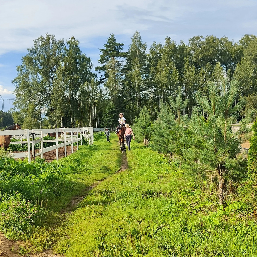 Частный дом Уютный с 3 спальнями и чаном рядом с лесом
