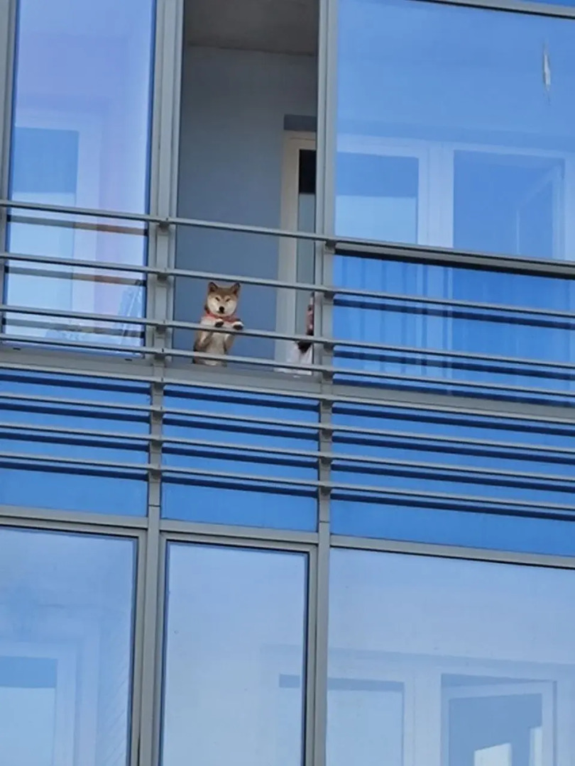 Квартира уют у Ладожского вокзала