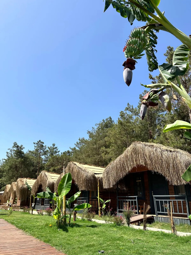 Частный дом Pine Village Bungalows Ölüdeniz