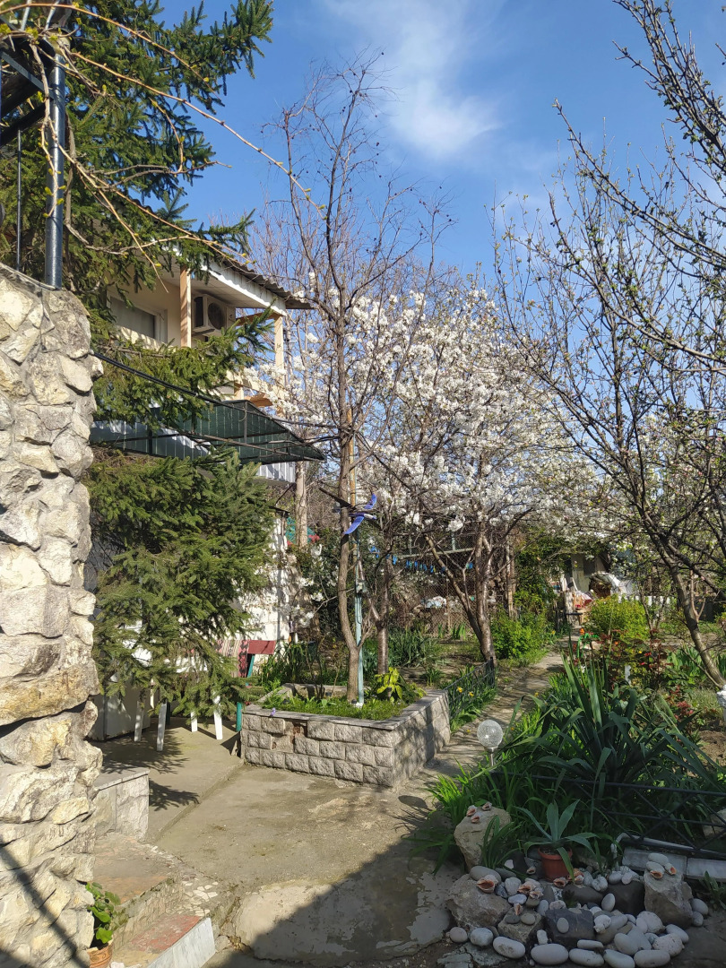 Меблированные комнаты Celica