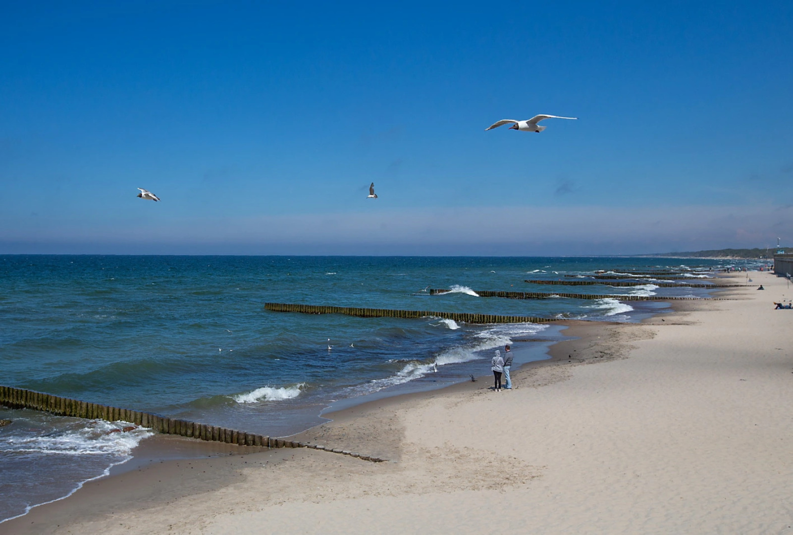 Апартаменты рядом с морем