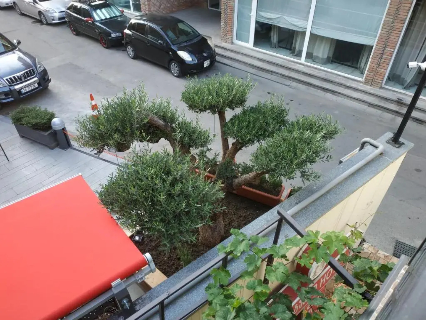 Отель Lions Avlabari