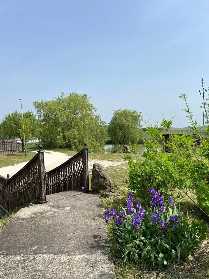 Отель Черкесский Аул