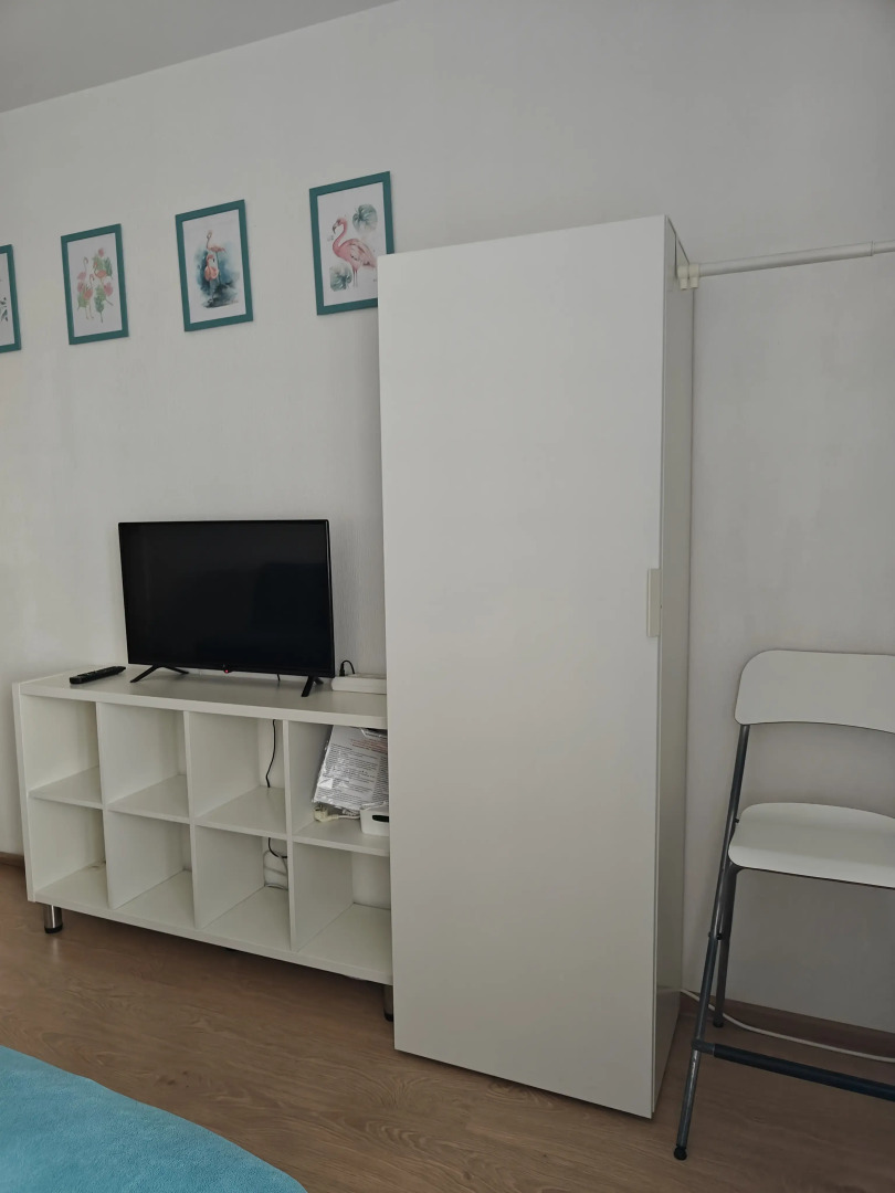 Студия Flamingo метро Ладожская