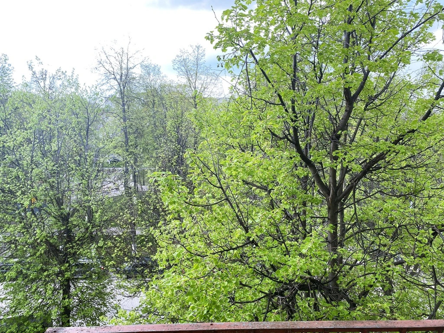 Апартаменты Студия 2