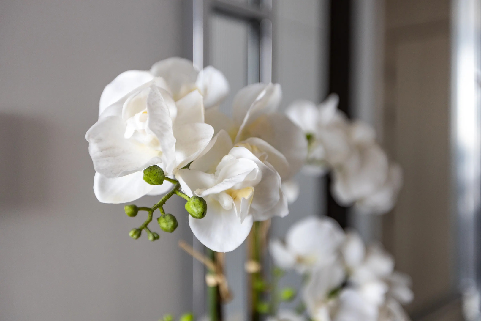 Апартаменты HEAVEN APARTMENTS 3