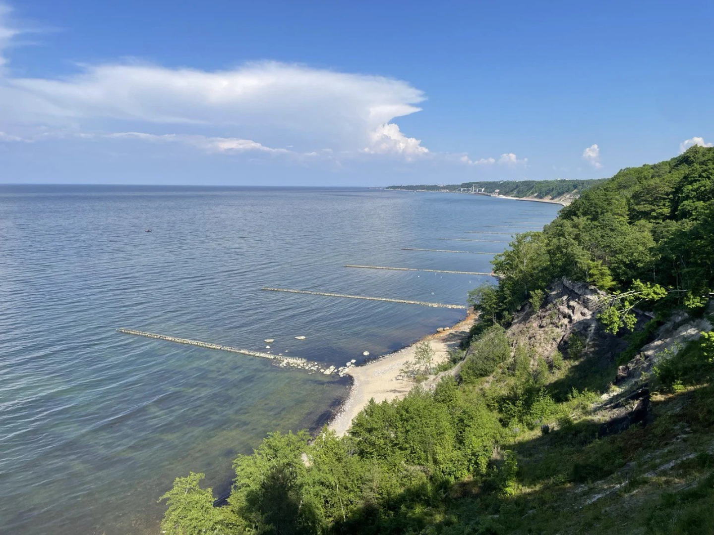 Квартира Алиса