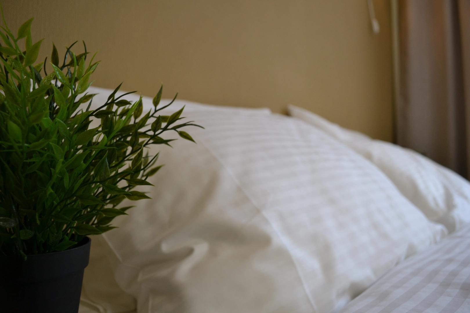 Отель Винсент