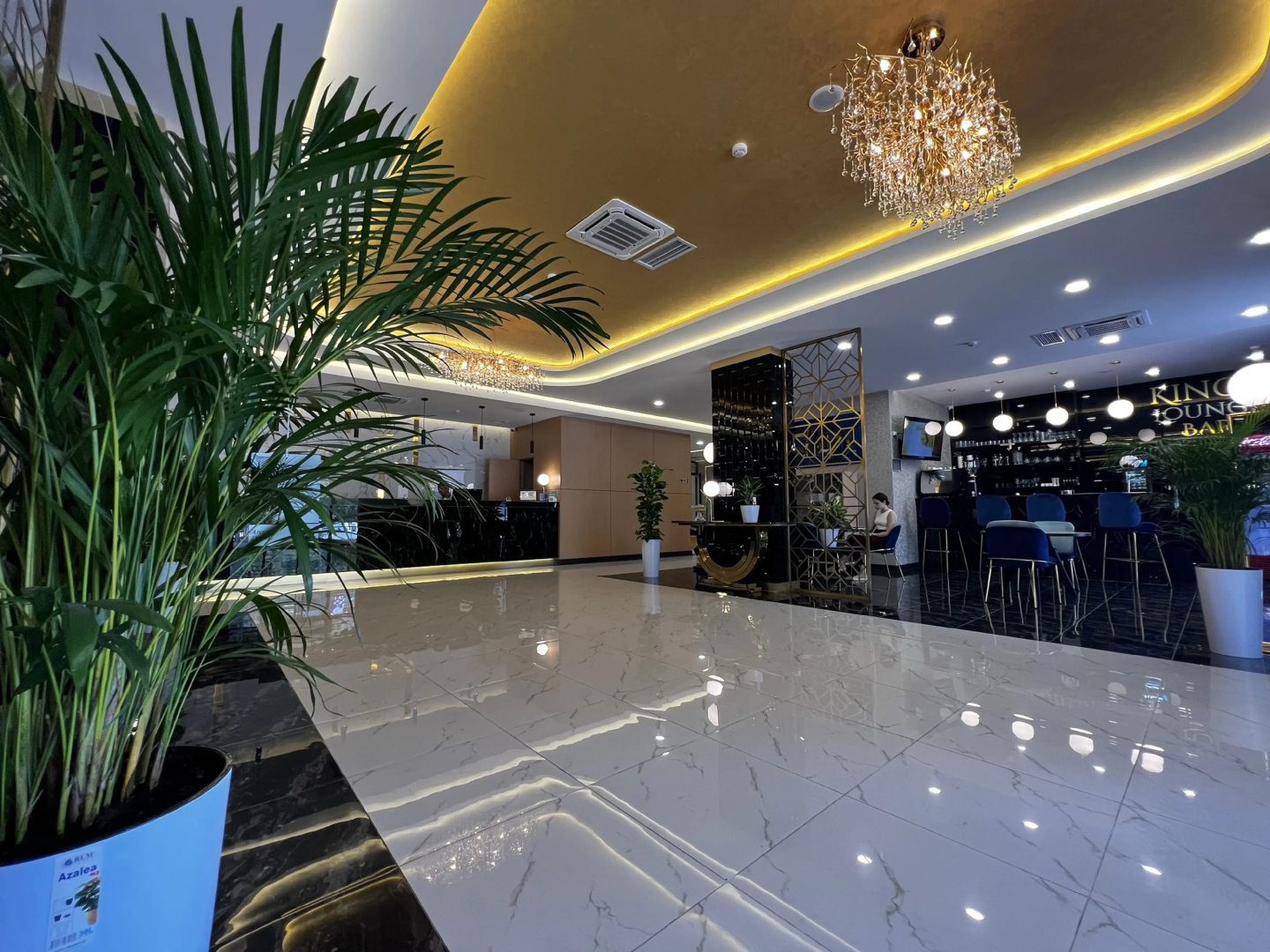 Отель King Plaza