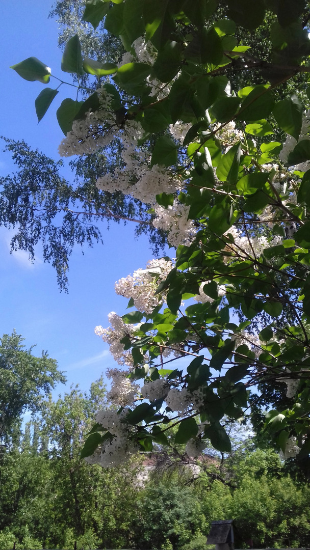 Гостиница У Домика Петра