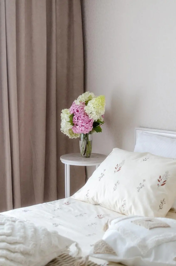 Апартаменты Уютная квартира на Запсковье