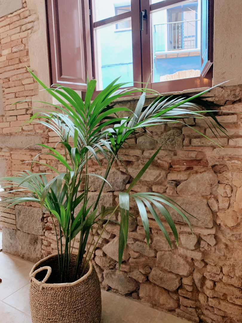 Бутик-отель Palau Macelli