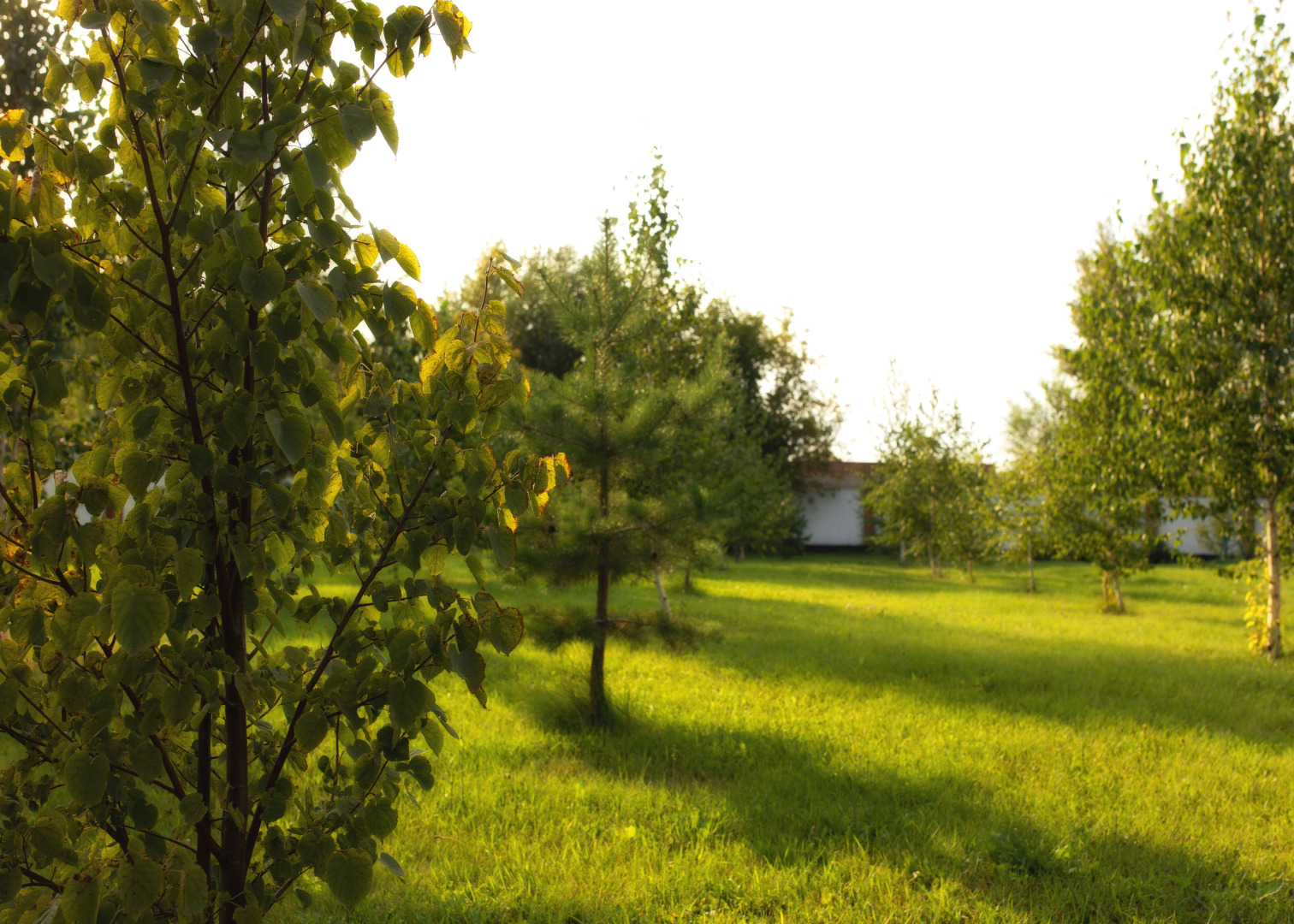 Мини-отель Парк-отель Алмаз