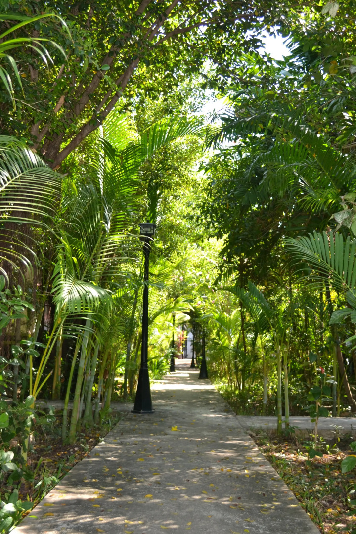 Вилла Nature Boutique Residence