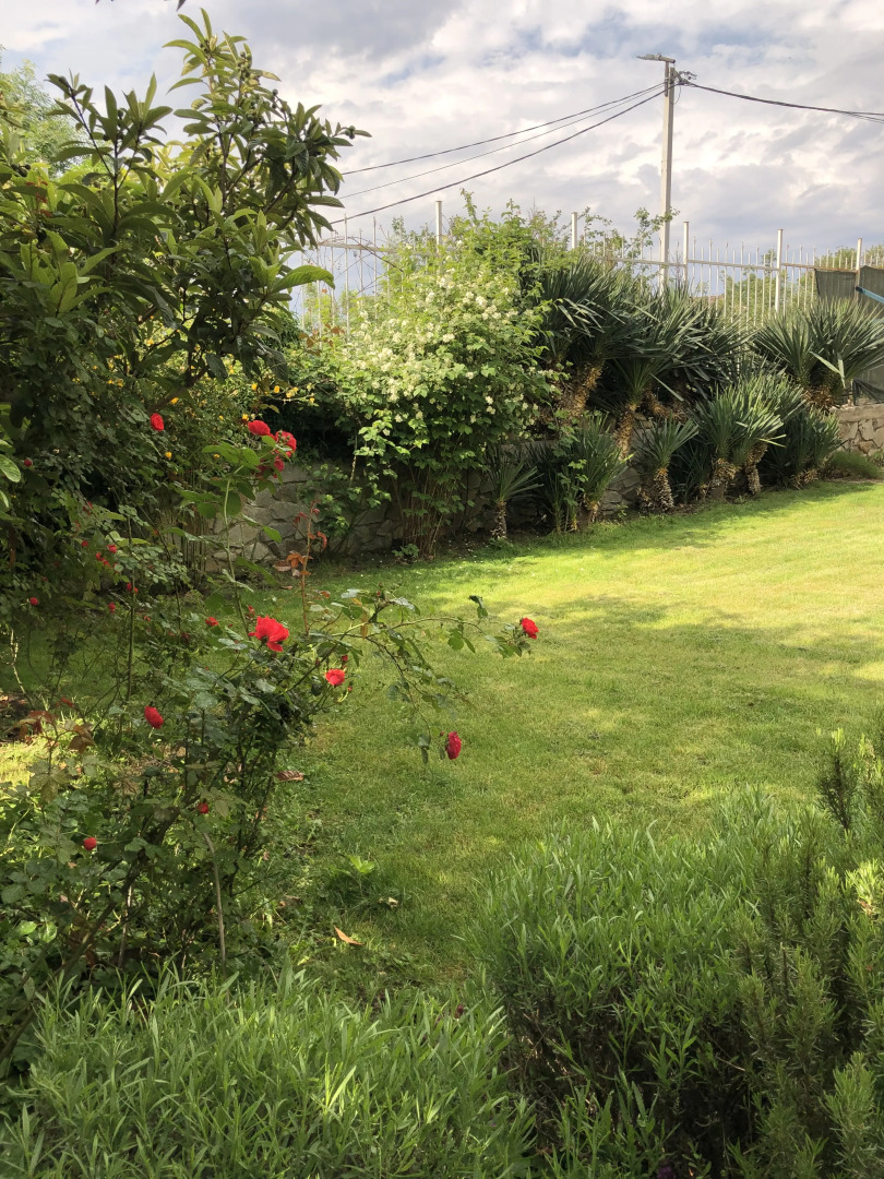 Меблированные комнаты у Ирины