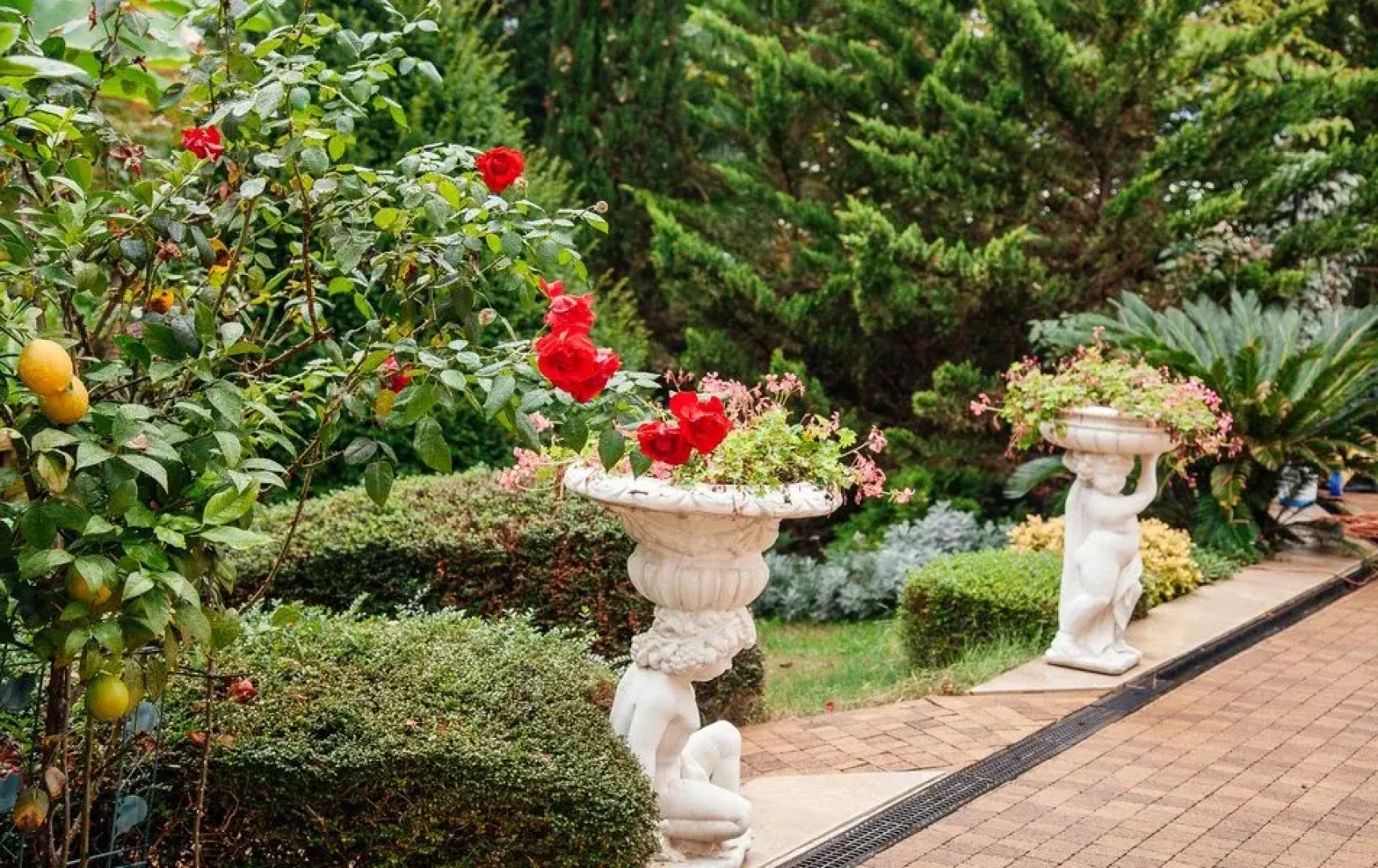 Отель ROMANOVPALM Hotel