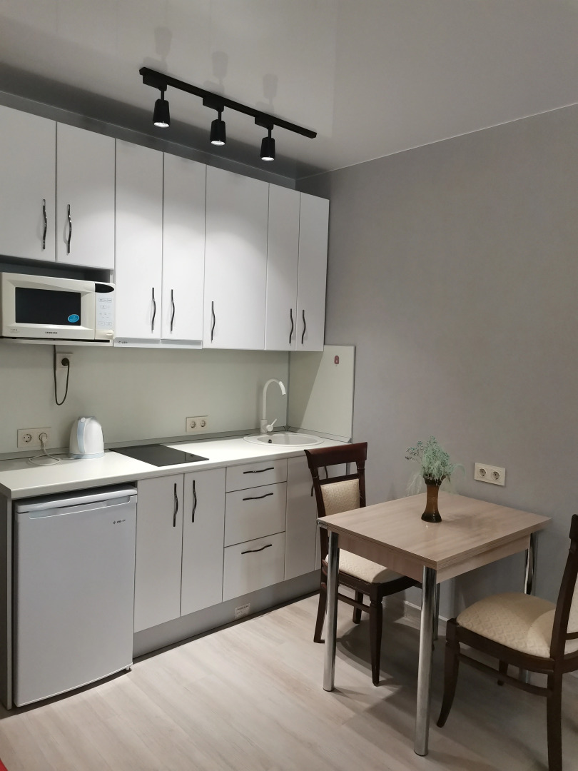 Апартаменты в Заельцовском бору около Зоопарка