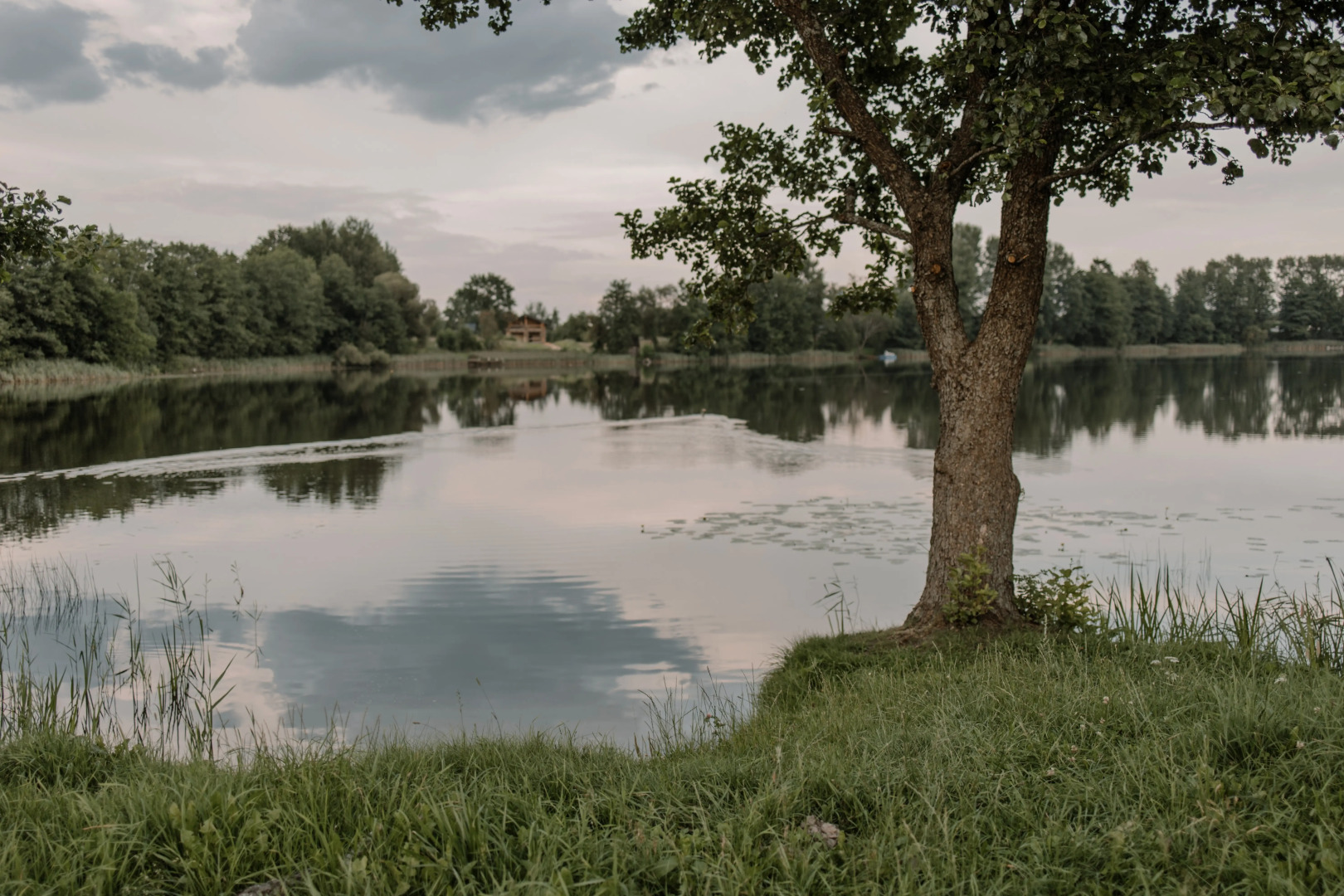 Частный дом Панорамные мини-домики на ферме Nomad Houses в Браславе