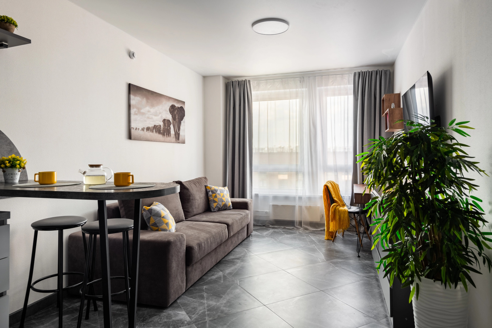 Квартира со слонами. Видовая. Высокий этаж