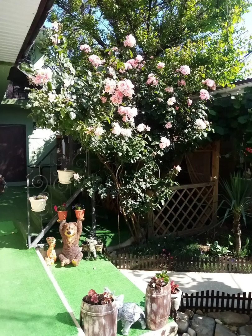 Гостевой дом ViVa