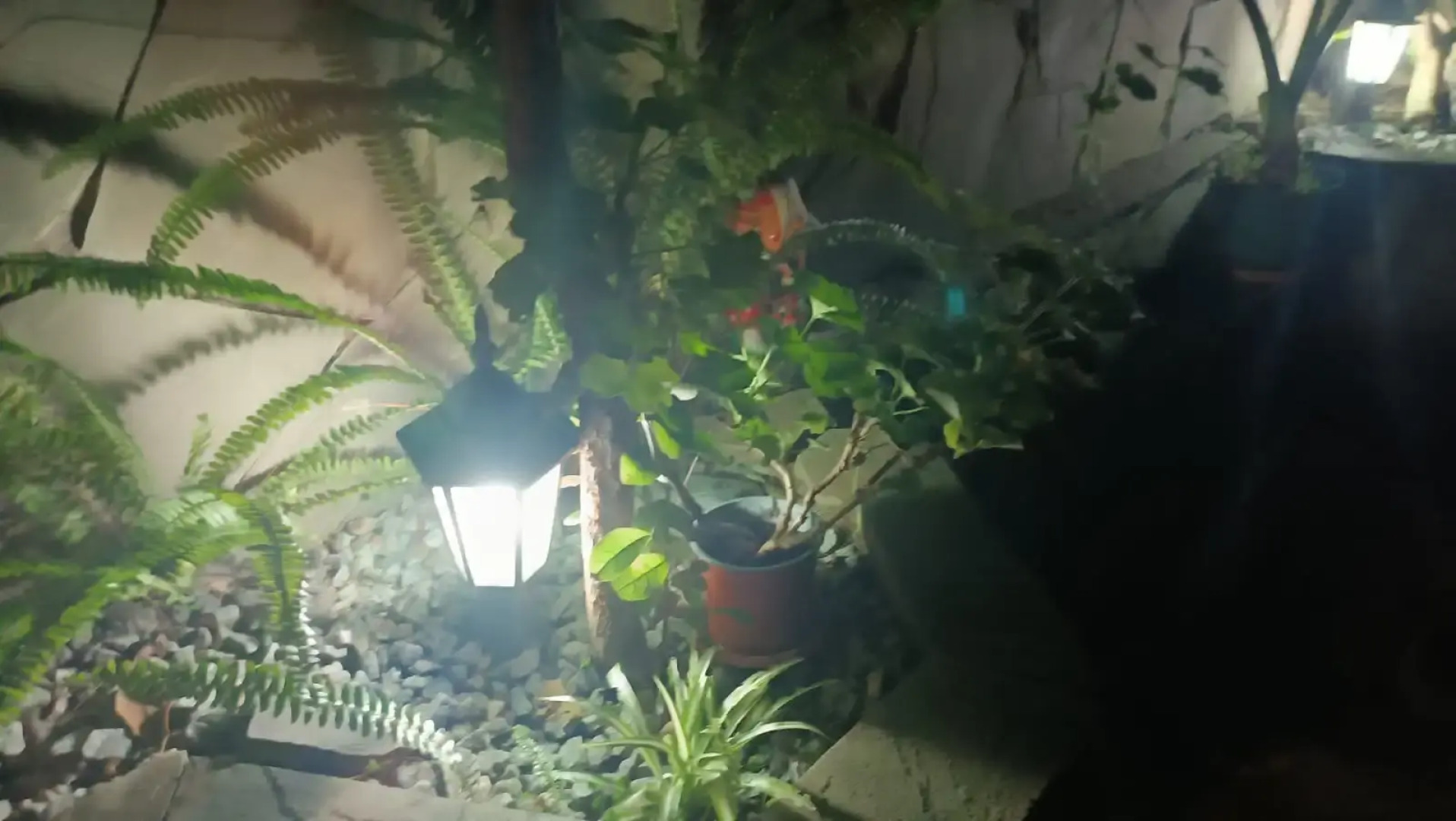 Гостевой дом Тенистый Берег