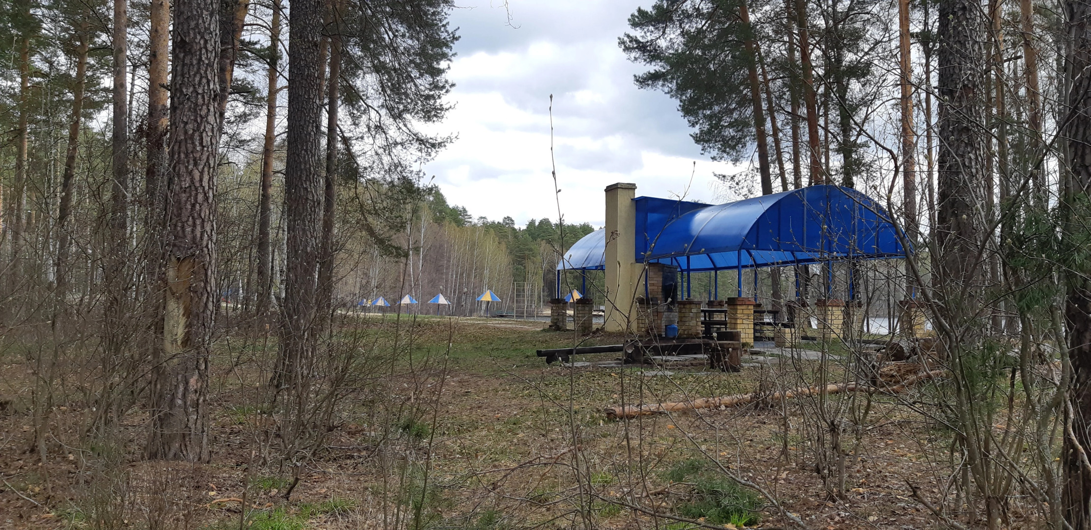 Lesnaya Skazka Apartments	