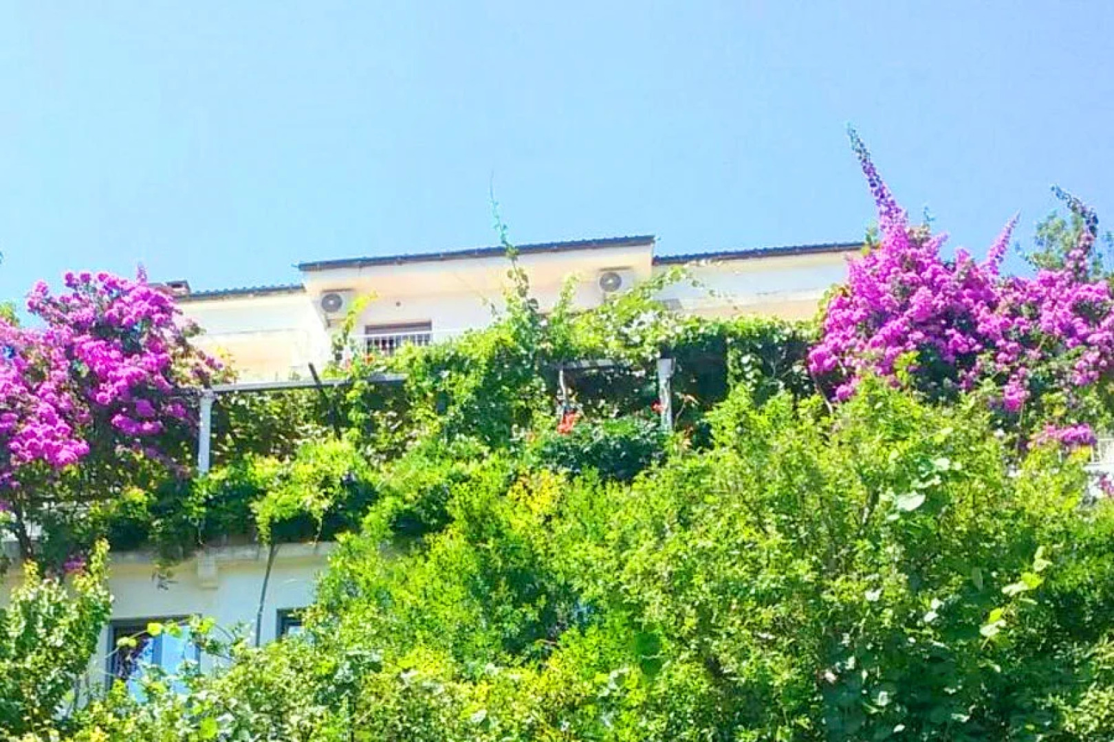 гостевой дом Madra rooms & apartments