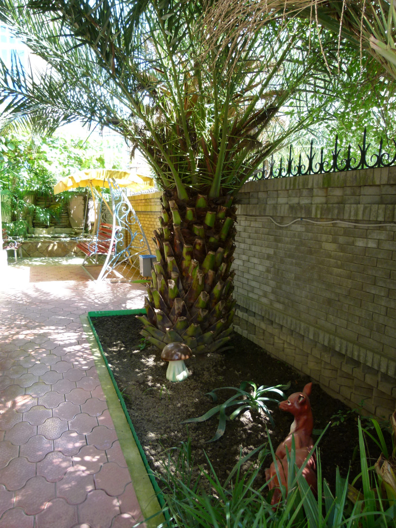 Гостевой дом Райский уголок