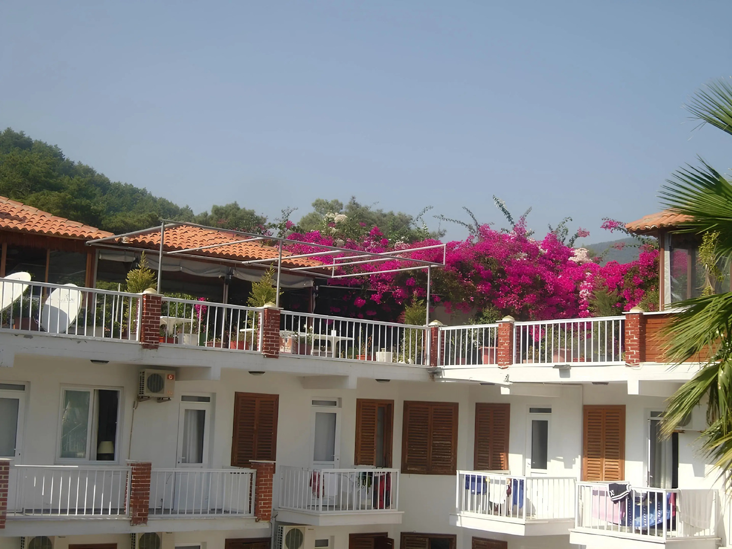 Bed&Breakfast Akdeniz Pansiyon
