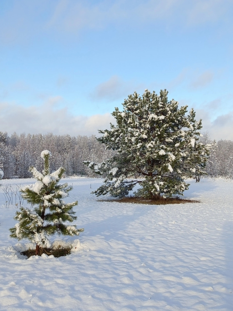 Частный дом Загородный Дыхание