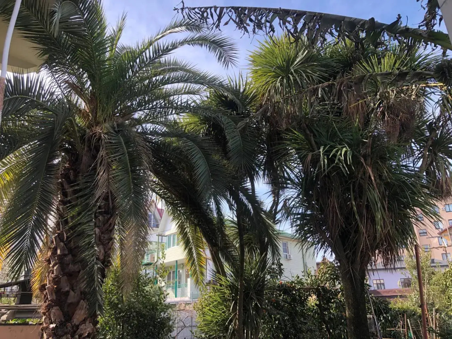 Гостевой дом Тропики