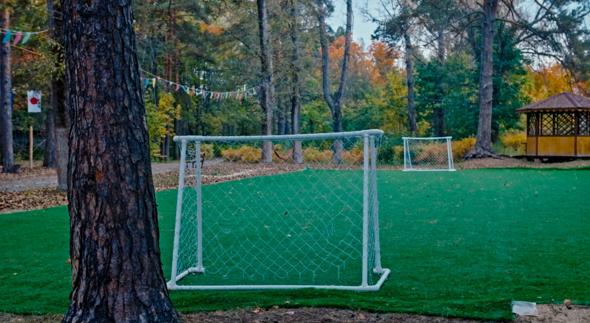 Отель Сосновый бор