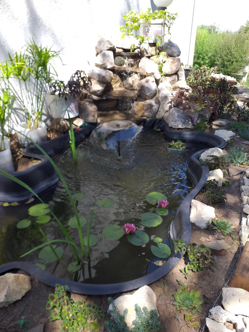 Меблированные комнаты Александрит