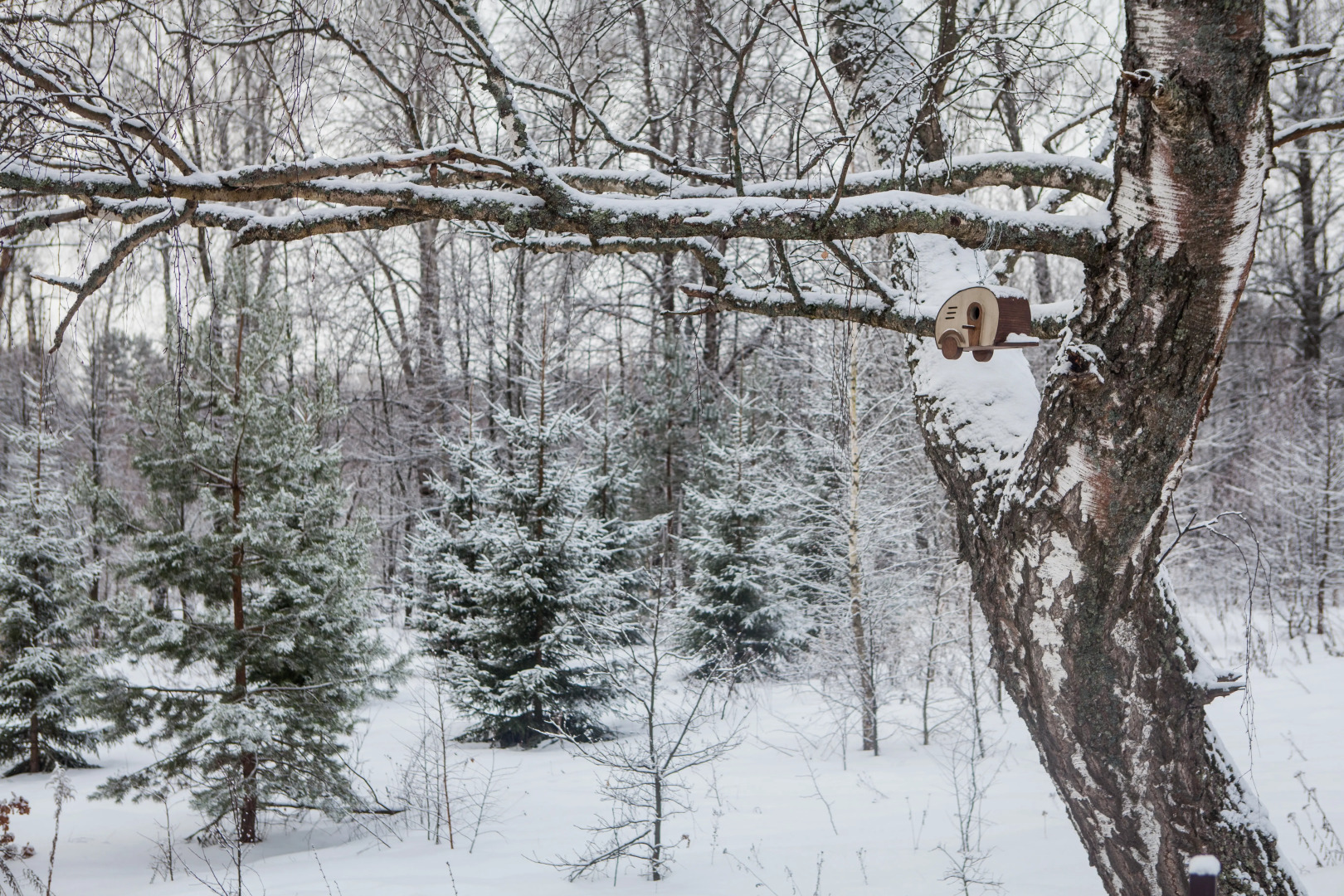 Частный Дом Якшино