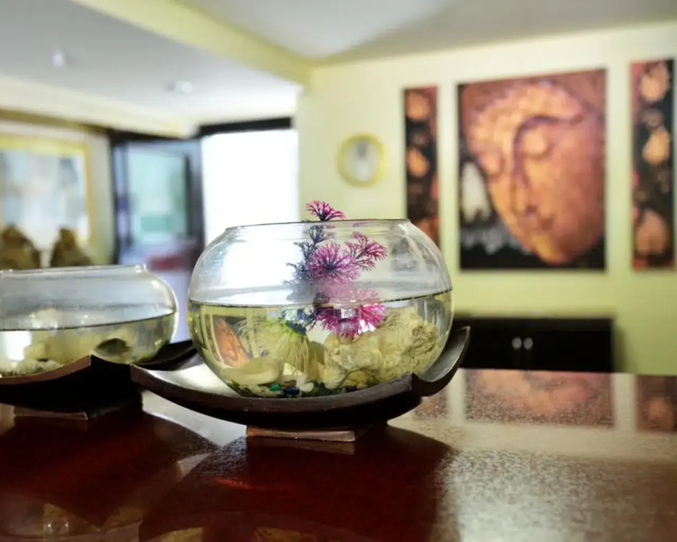 Отель Jaranya Hotel