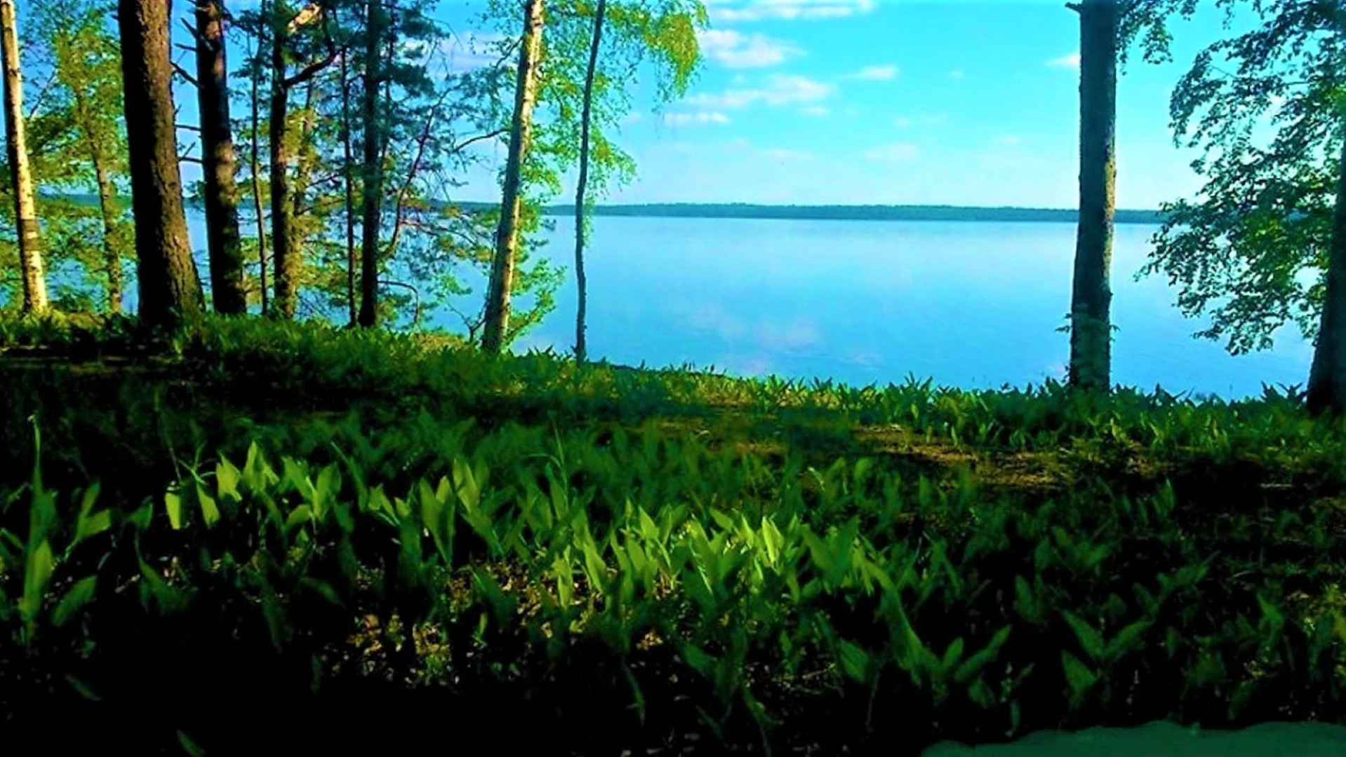 Частный Дом в Турбазе Чайка у Озера