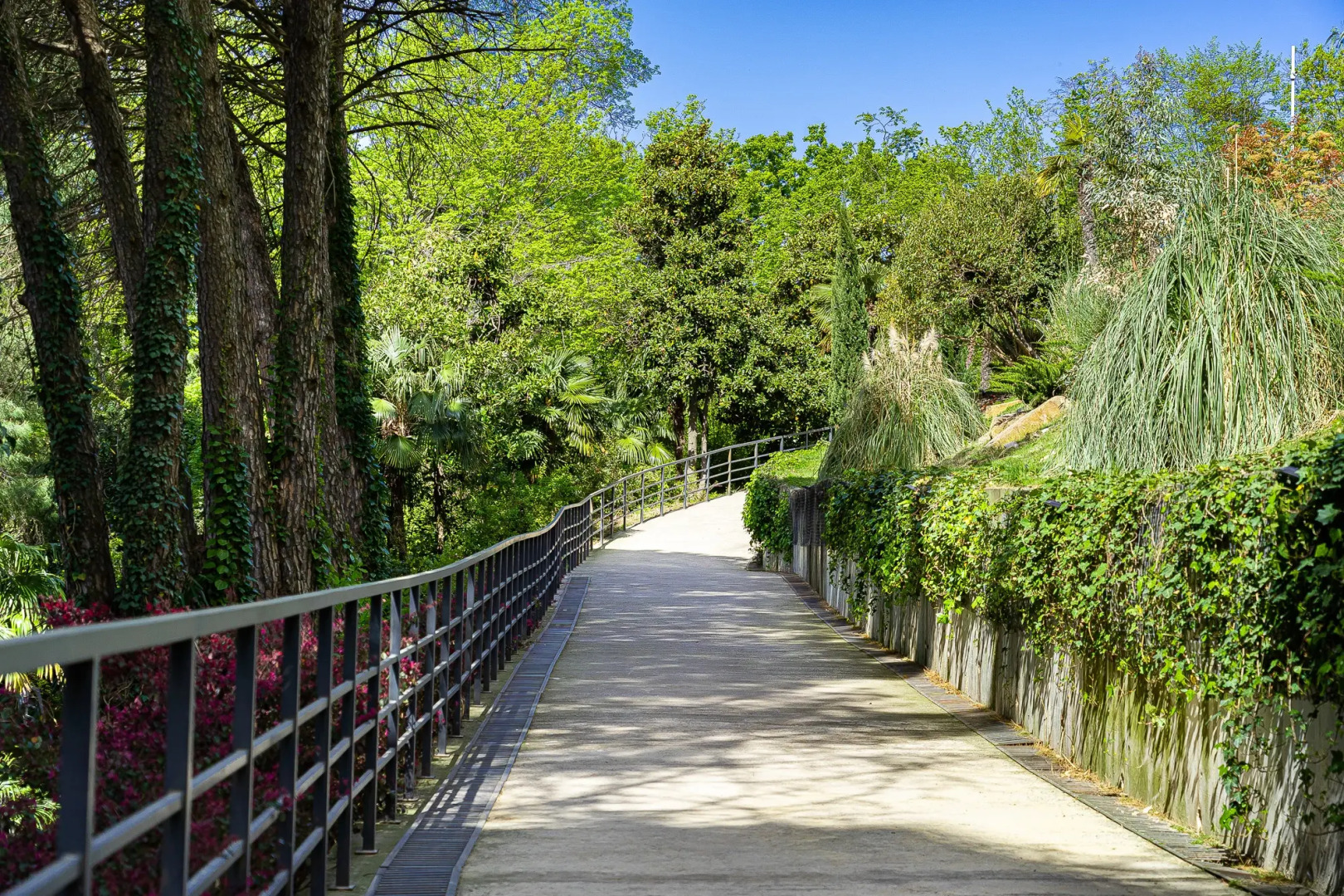 Апартаменты Студия с видом на море в апарт-отеле Актер Гэлакси