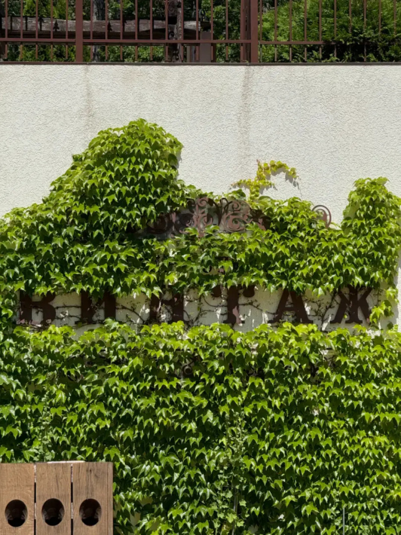 Отель Винтаж