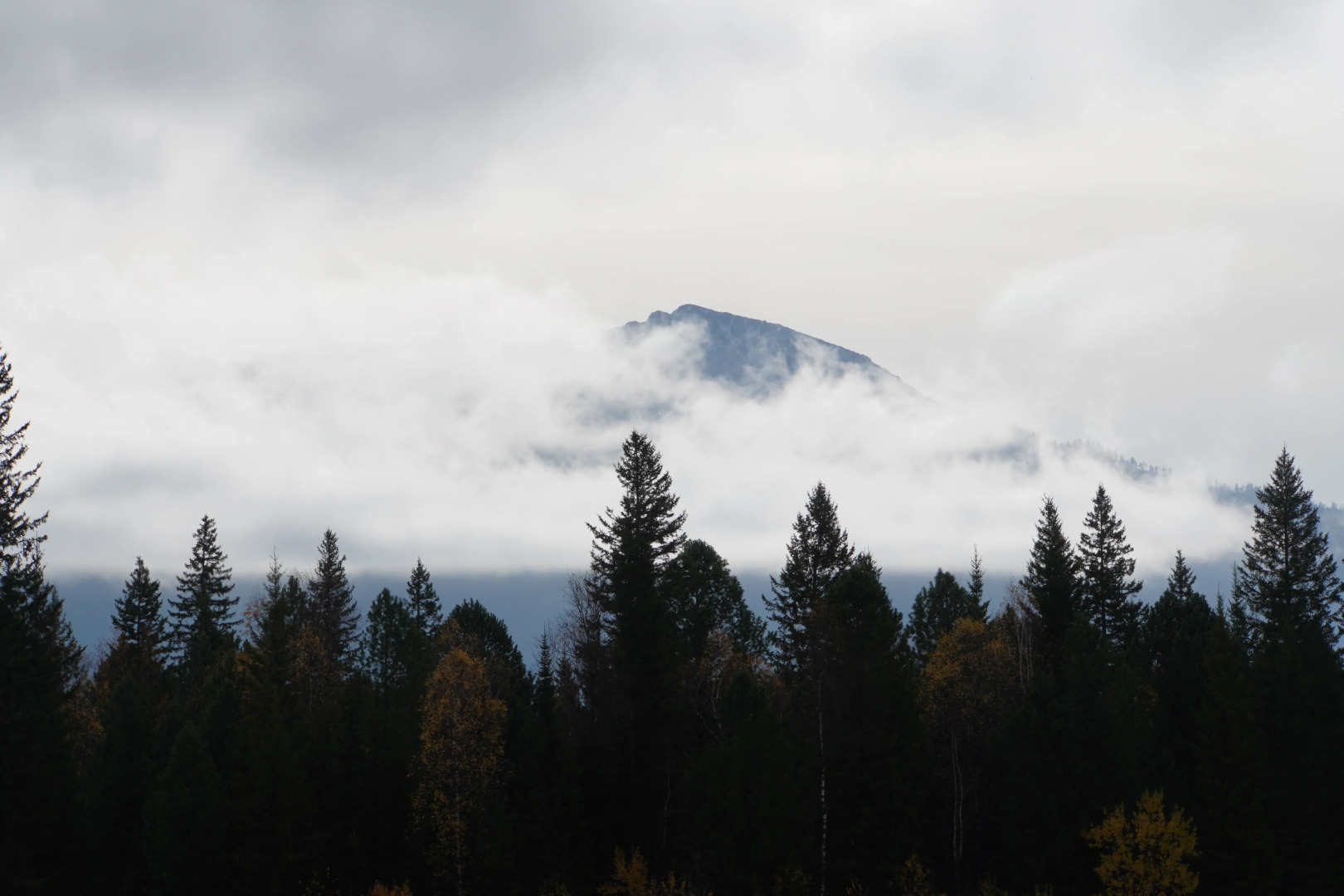 Отель Базовый Лагерь Снежный Поток