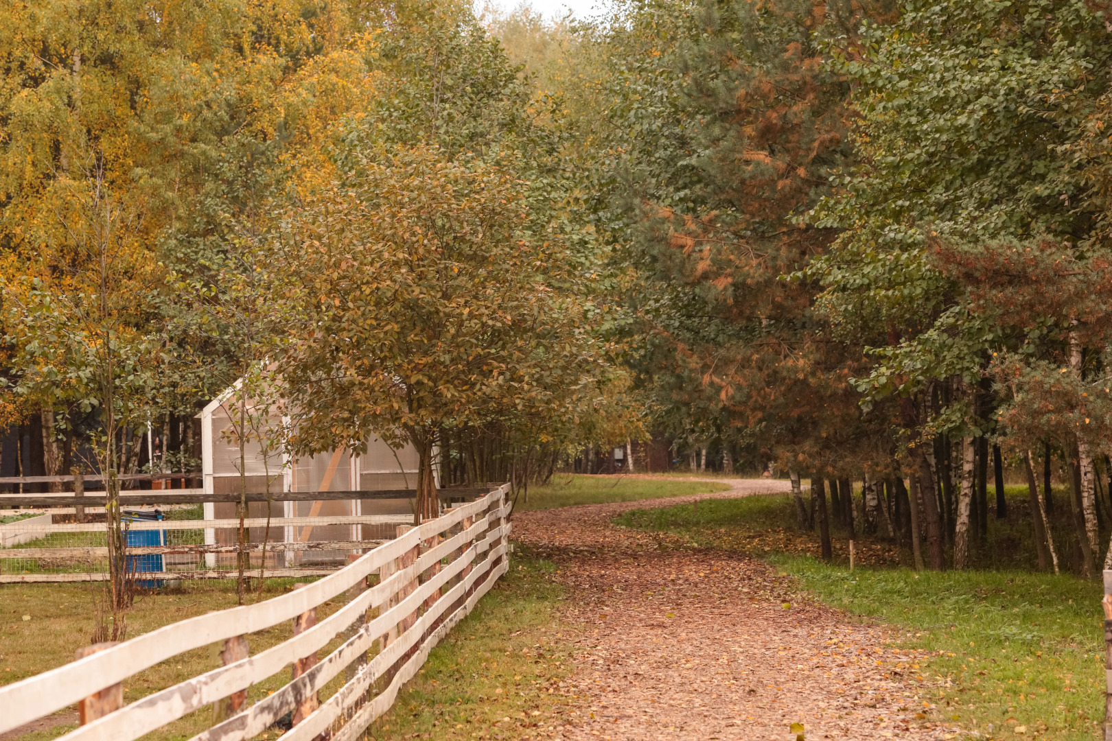 Глэмпинг А-Ферма