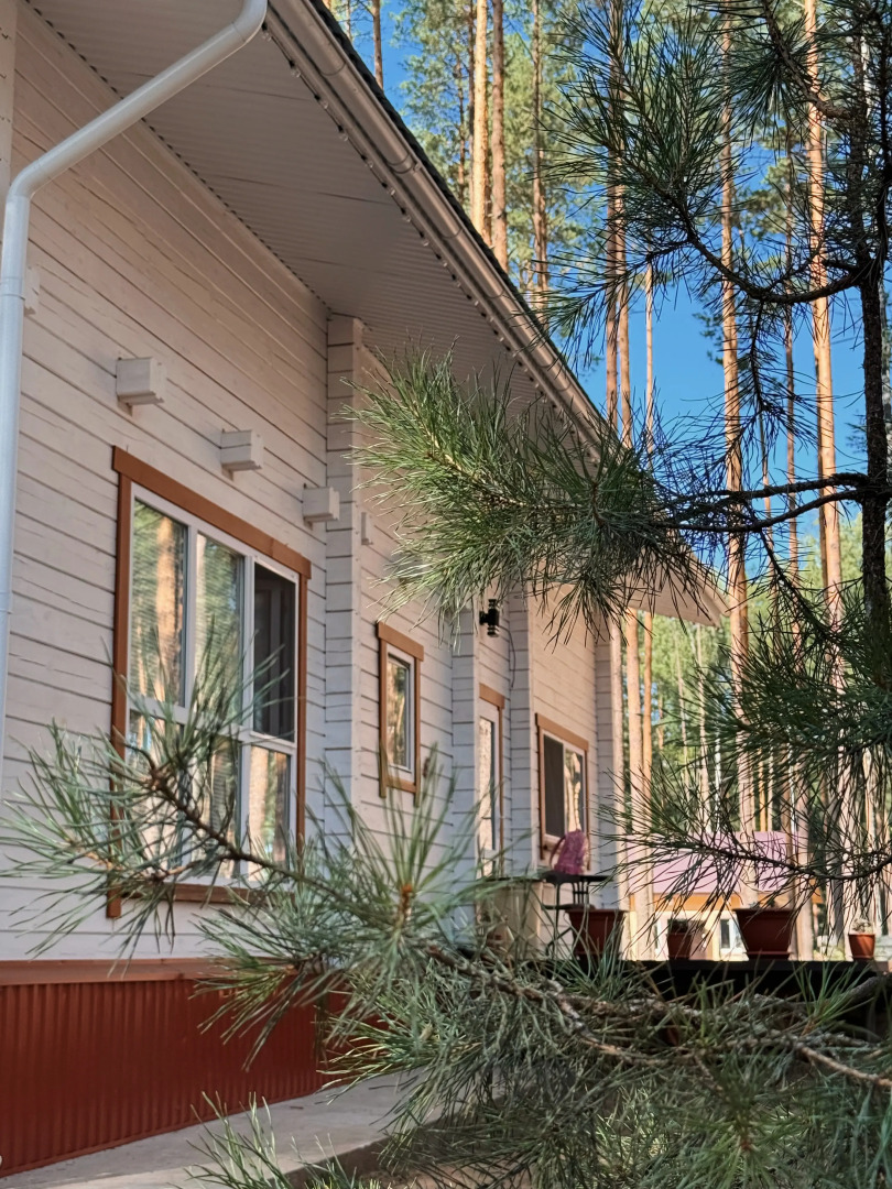 Частный дом Белый и сосны
