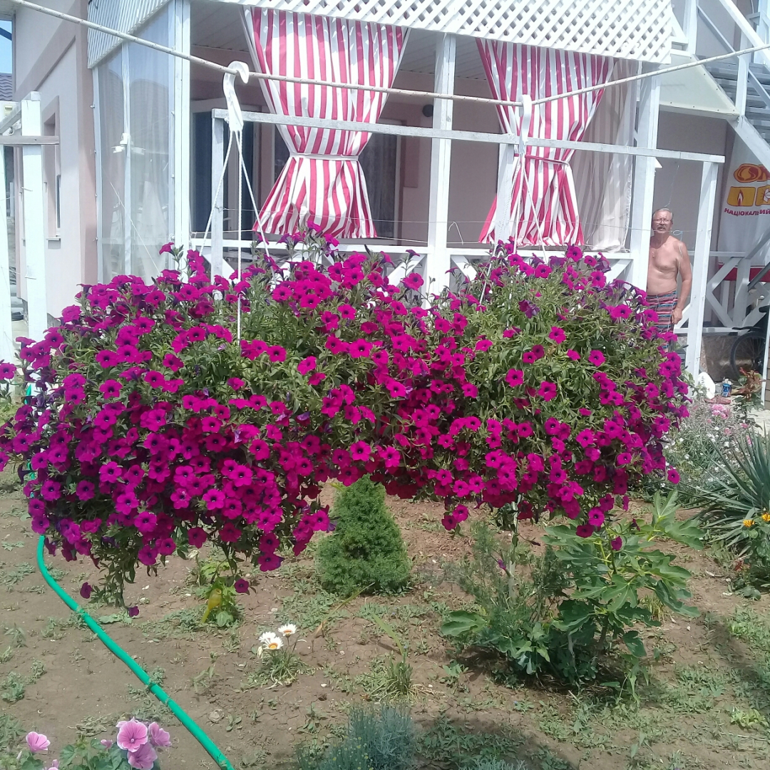 База Отдыха Лукоморье