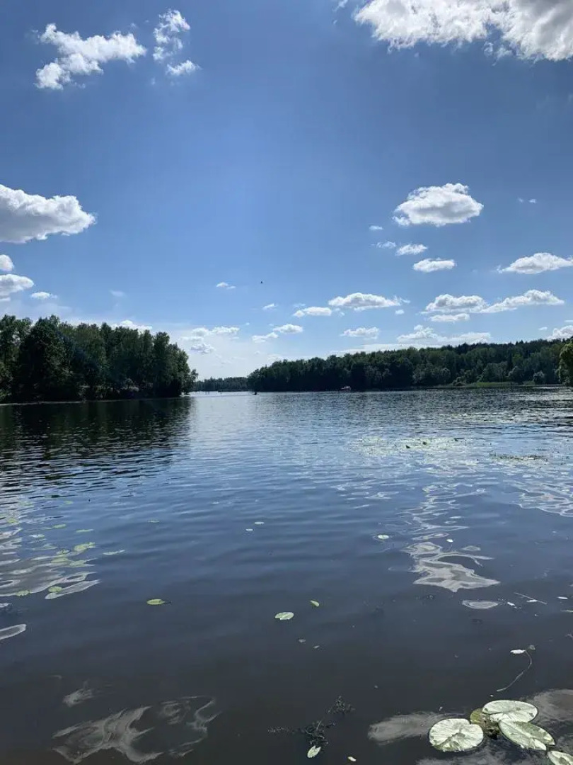 Частный дом Весна парк 99