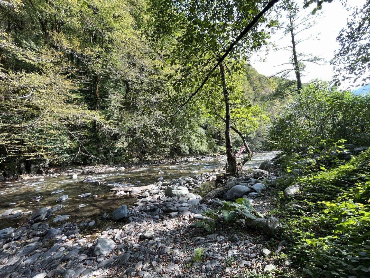 Частный Дом Резиденция Лес