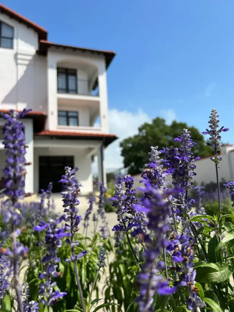 Отель Villa Anna de luxe