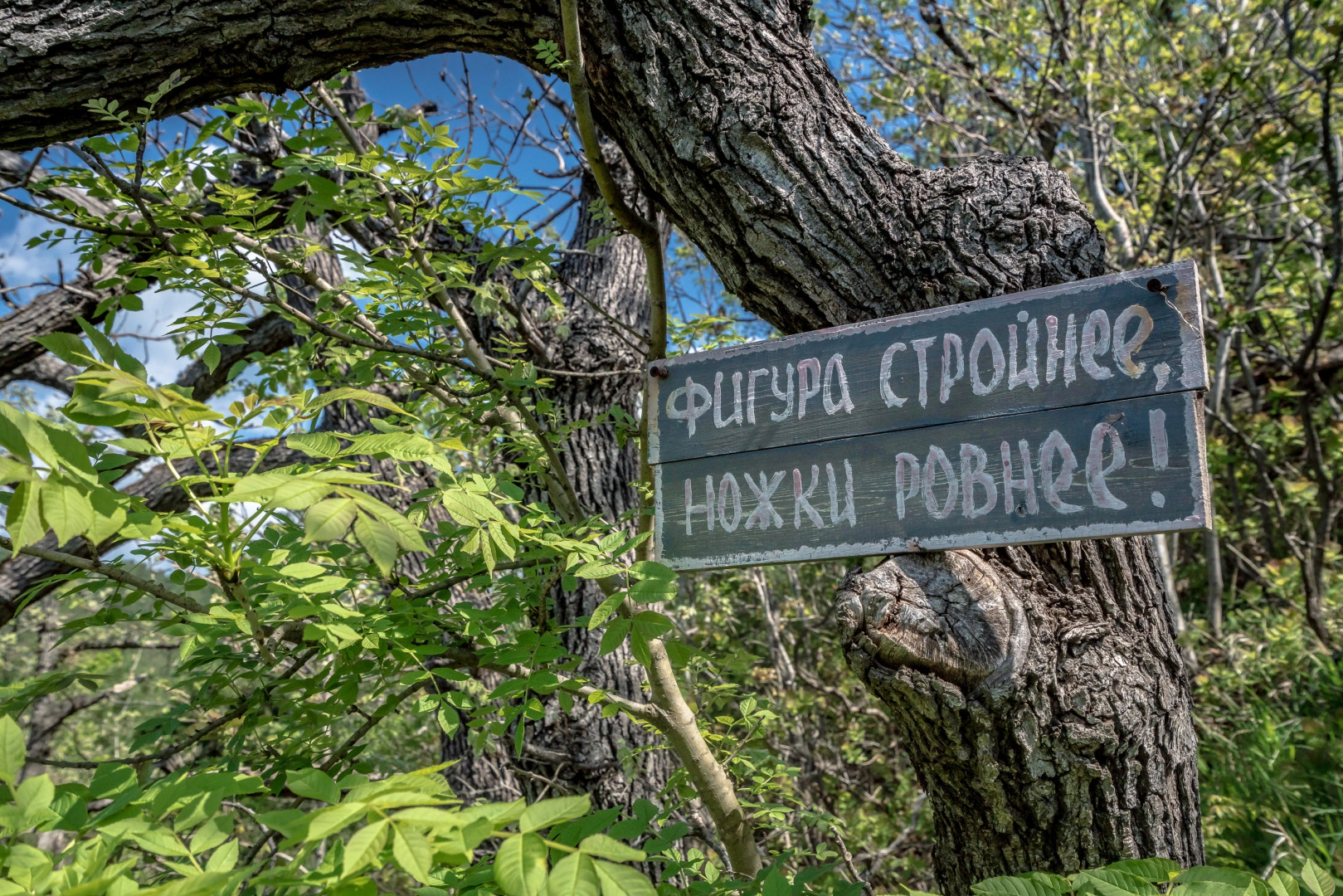 Мини-Отель Green Wood