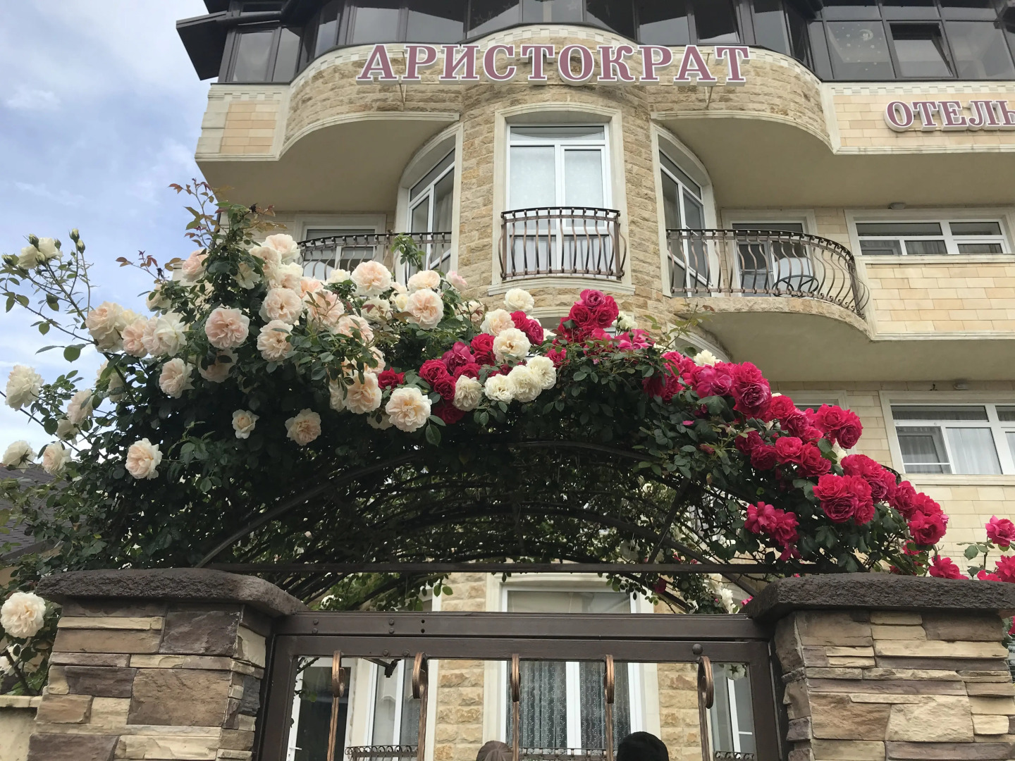 Аристократ