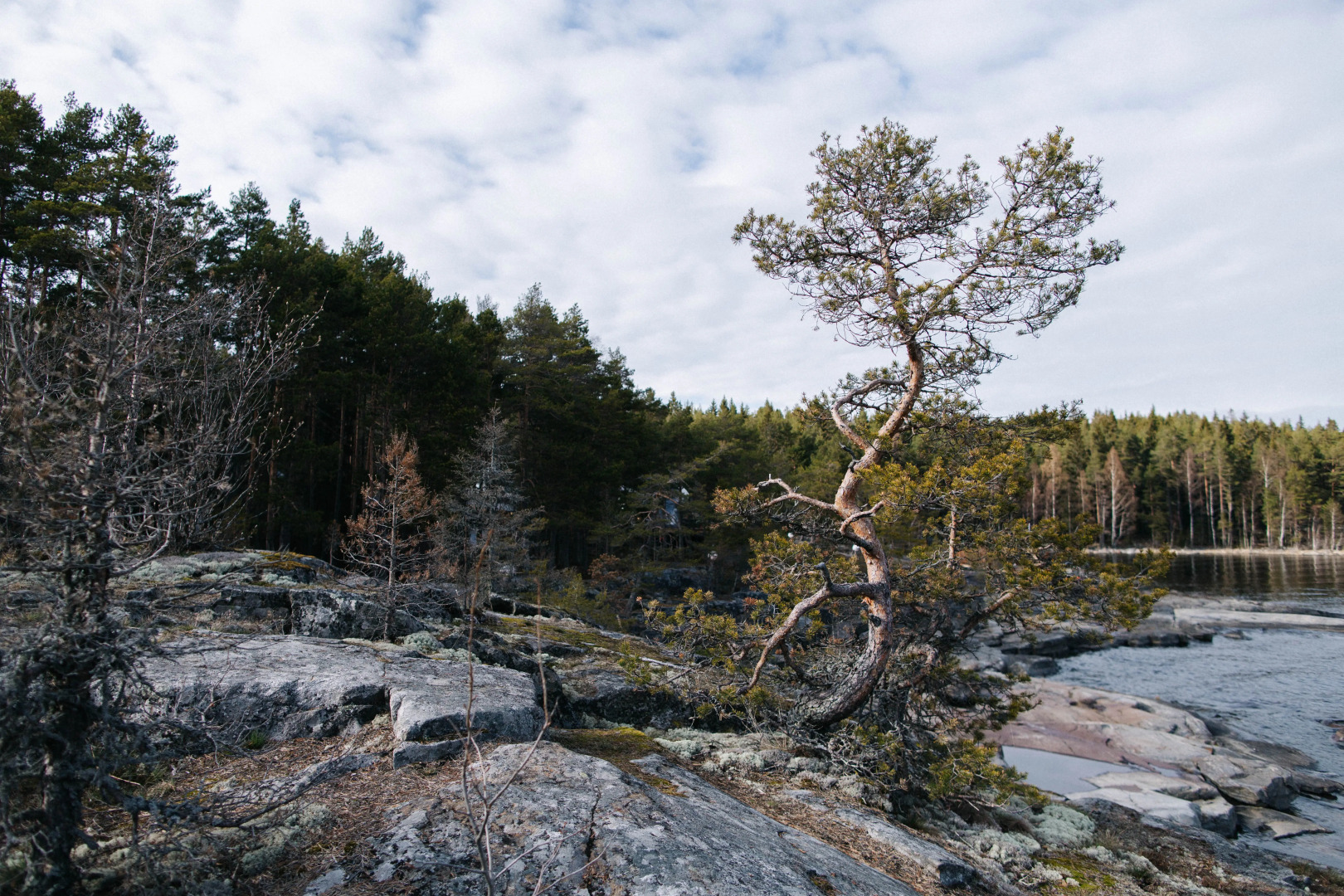 Глэмпинг Lago Ladoga