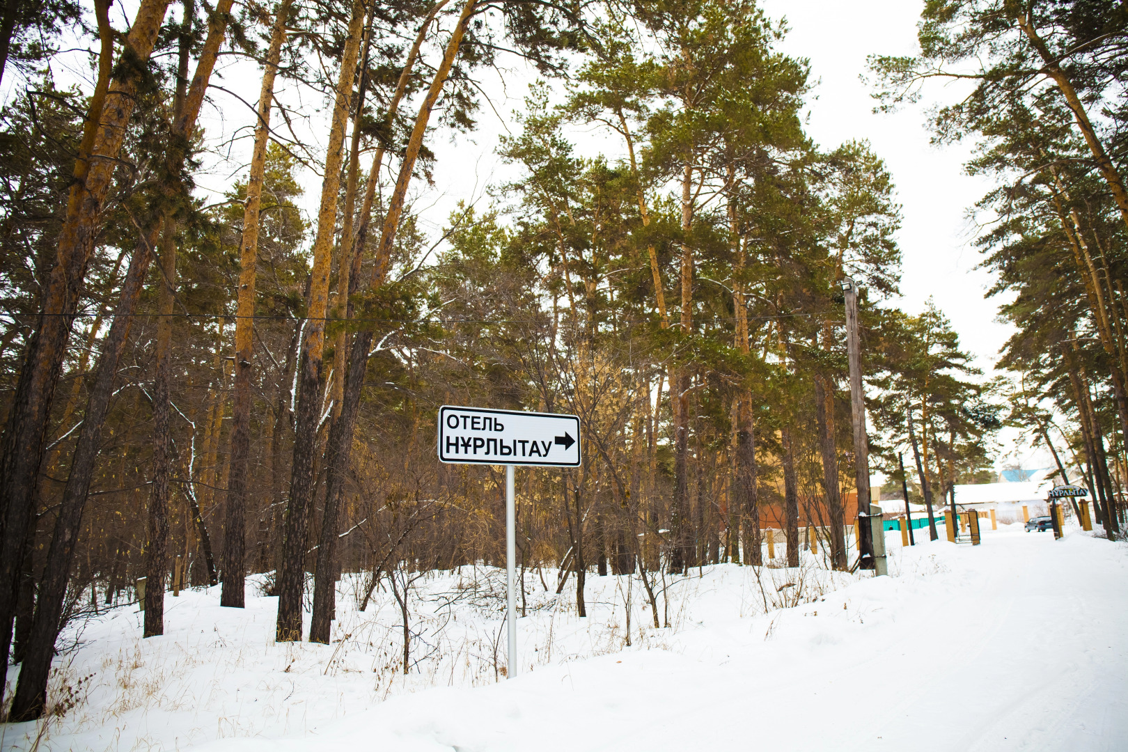 Отель Nurlytau