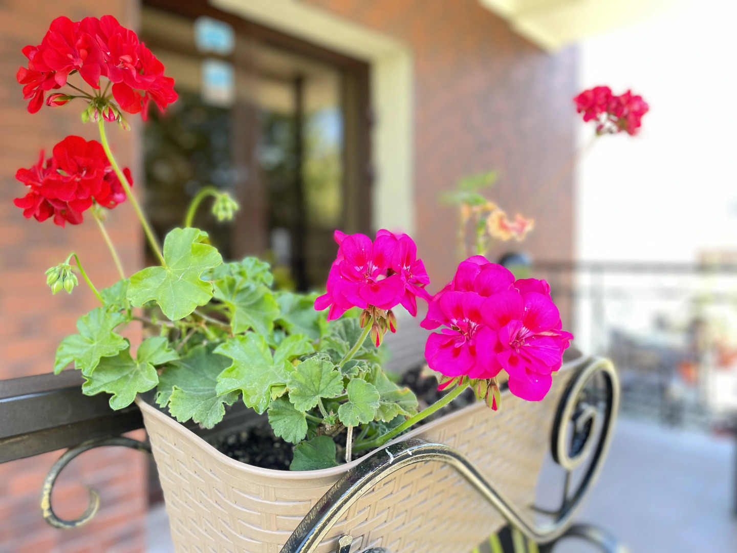 Гостевой дом Аристократ